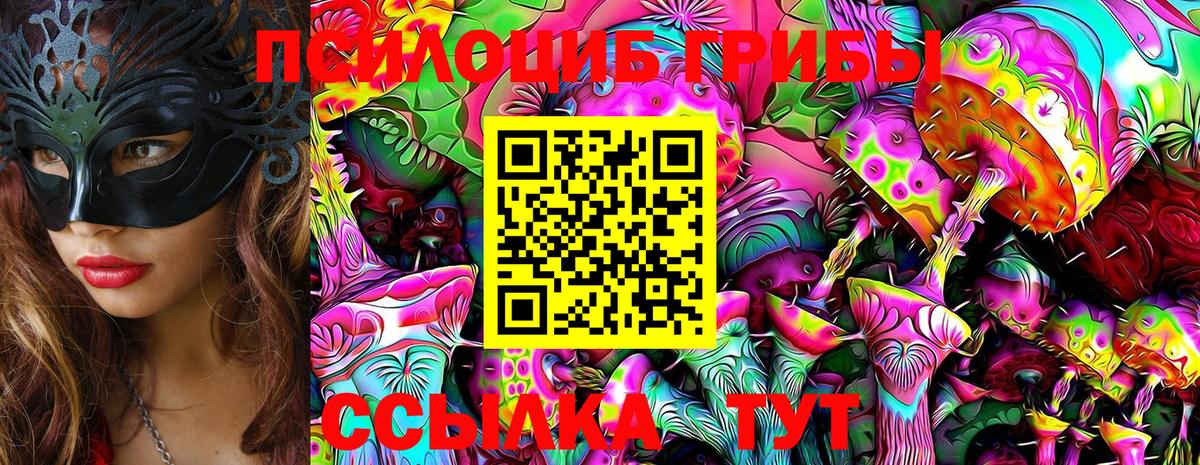 Псилоцибиновые грибы GOLDEN TEACHER  Псилоцибиновые грибы мицелий  Вход с VPN  Вышний Волочёк 